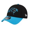 Carolina Panthers sapka - Panthers