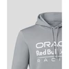 Red Bull Racing pulóver - Large Team Logo Lifestyle szürke